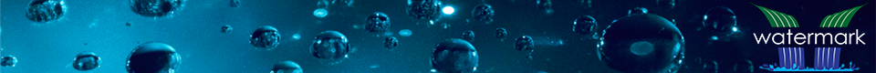 Header_Image